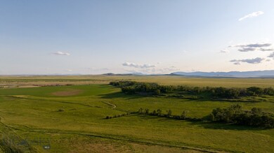 Irrigated field