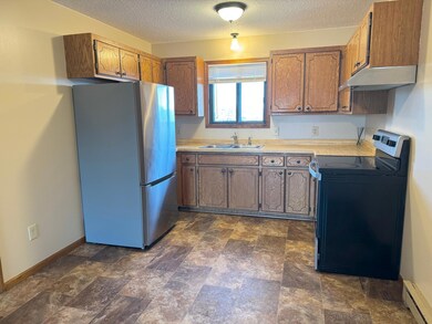 221 13th St N unit 202, Sauk Rapids, MN 56379 - photo 2