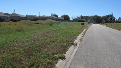 IMG_1772 (Large)
