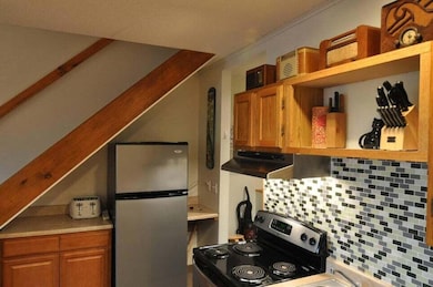 8 Fall Line Dr unit N201, Newry, ME 04261 - photo 6