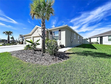 31130 Mango Fade Way, San Antonio, FL 33576 - photo 2