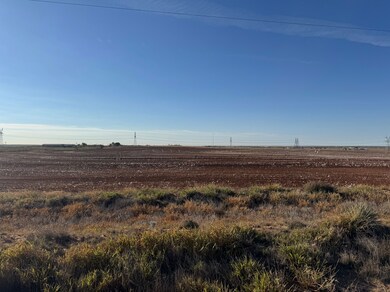 0000 N Ennis Creek Rd, Snyder, TX 79549 - photo 4