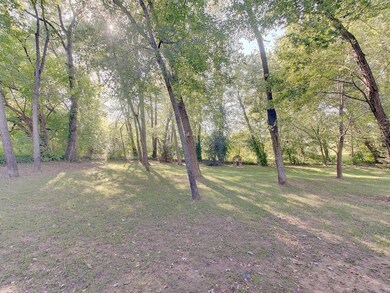 Peaceful backyard with mature trees