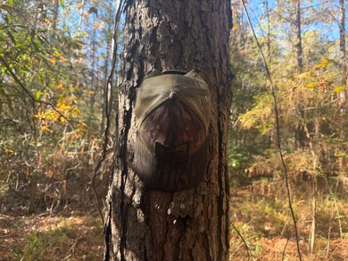 County Rd 1143, Troy, AL 36079 - photo 3