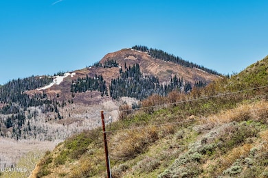 Photo-4