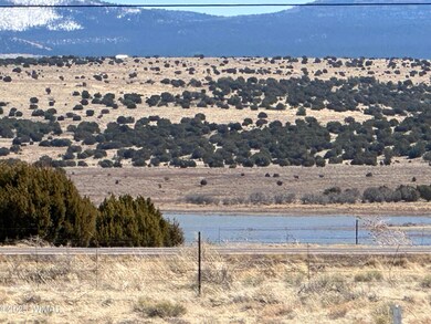 0 Lot 185 Lakeview Ranch Unit 4 unit 255032, Concho, AZ 85924 - photo 4