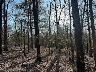 28734 Skyridge Ln, Heavener, OK 74937 - photo 7