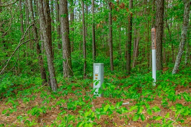 Walnut Grove Property HD-5