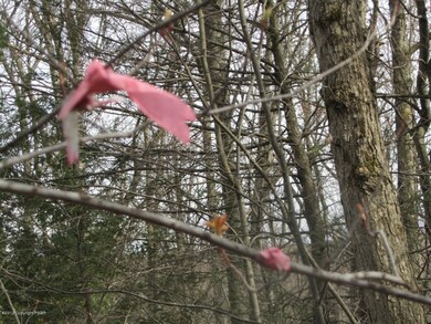 0 W 13 Th St, Jim Thorpe, PA 18229 - photo 3