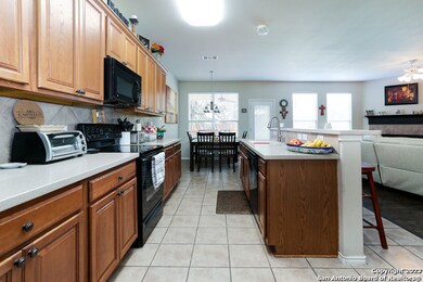 25639 Sago Palm, San Antonio, TX 78261 - photo 3