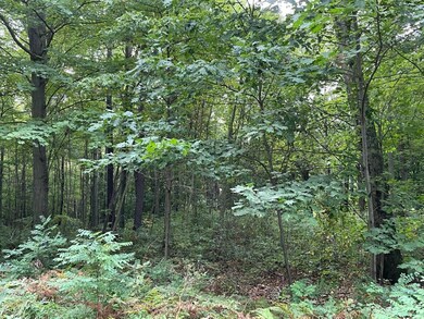 V/L Remington Ln unit Lot 2, Park Township, MI 49424 - photo 5