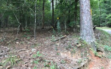 LT 19 Cartecay Cove Ln, Ellijay, GA 30536 - photo 3