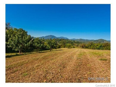 000 Newfound Rd, Leicester, NC 28748 - photo 4