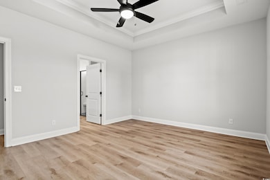Unfurnished room with ceiling fan, a raised ceilin