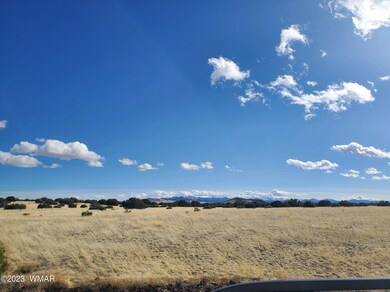 0 Cr 5074 unit 241411, Concho, AZ 85924 - photo 3