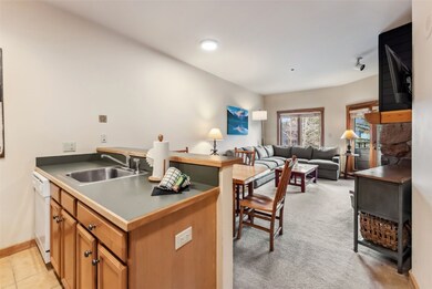 91 River Run Rd unit 8117, Dillon, CO 80435 - photo 5