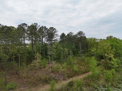 DJI_20240416154458_0045_D