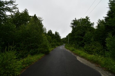 DSC_3903