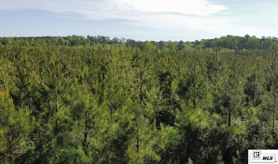 000 Anadarco Rd, Eros, LA 71238 - photo 2