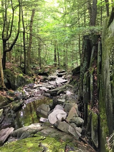 0 Edgar Albert Rd, Groton, NH 03266 - photo 3