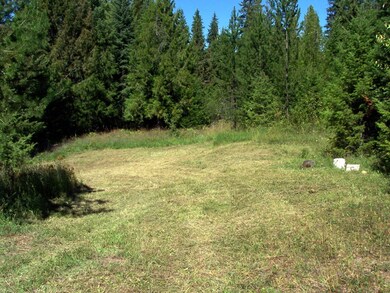 Main bldg site