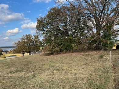 6264 Overlook Point, Athens, TX 75752 - photo 3