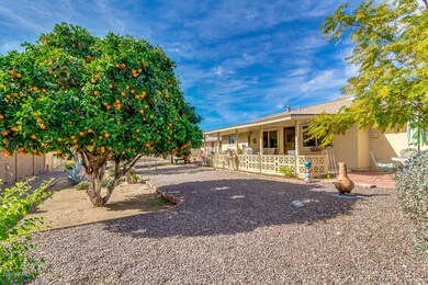 3 different orange trees