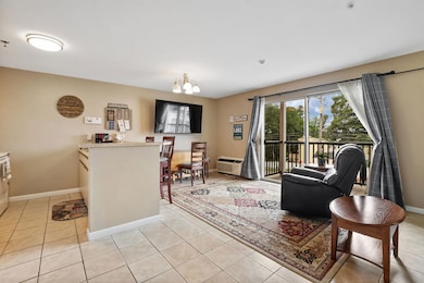 131 Lake St unit 214, Gilford, NH 03249 - photo 2