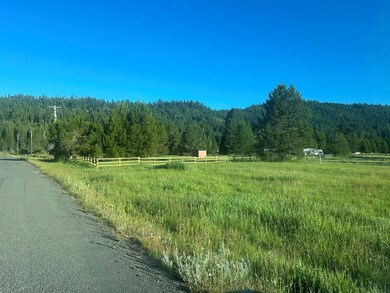 14 Smiths Ferry Dr unit 61, Parcel 2, Cascade, ID 83611 - photo 2