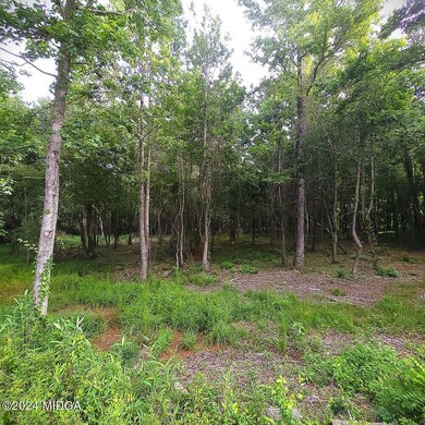 0 Cardiff Dr unit 175520, Macon, GA 31220 - photo 6