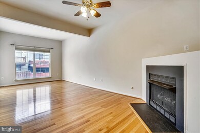 5302 Scottswood Ct, Alexandria, VA 22315 - photo 5