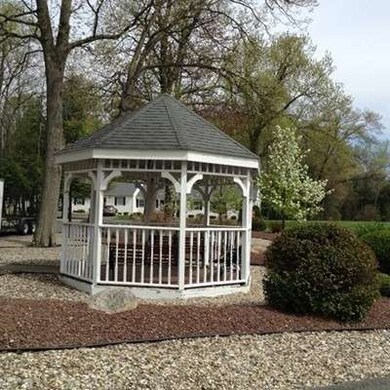 Carousel Image