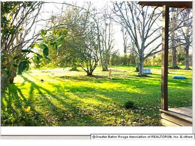Back yard