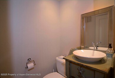 800 E Hopkins Ave unit A1, Aspen, CO 81611 - photo 5