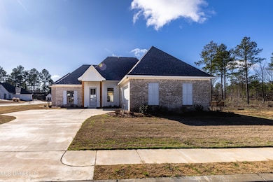 101 Springs Crossing, Madison, MS 39110 - photo 3