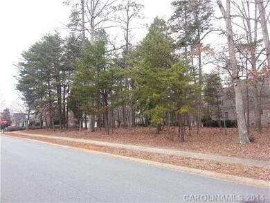 Lot 670 Town Harbour Rd unit 670, Cornelius, NC 28031 - photo 5