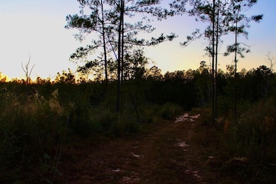 0 Brushy Creek Rd unit LotWP006 22148687, Columbia, MS 39429 - photo 5