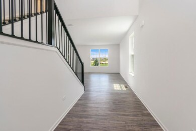 14155 Magnolia St, Cedar Lake, IN 46303 - photo 3