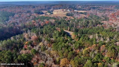 58 Long Point Rd, Double Springs, AL 35553 - photo 7