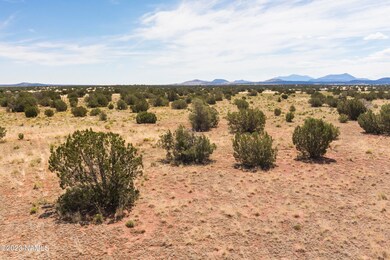 3622 Palmdale Rd, Williams, AZ 86046 - photo 6