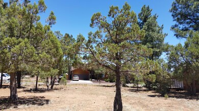 620 S Jogin Ln unit 37, Show Low, AZ 85901 - photo 3