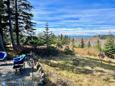 Views of Cook Inlet