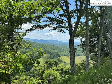 TBD lot 4 Mayito Ln, Mouth of Wilson, VA 24363 - photo 3