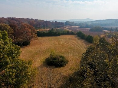 2185 Cainsville Rd, Lebanon, TN 37090 - photo 7