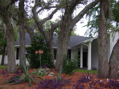 1404 Laurel Front Trees