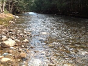 100 Gore Rd, Thornton, NH 03285 - photo 4