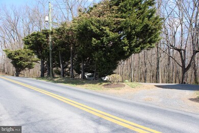 2371 Conicville Rd, Mount Jackson, VA 22842 - photo 7