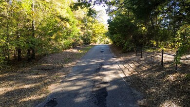 000 Cr 4330, Larue, TX 75770 - photo 6