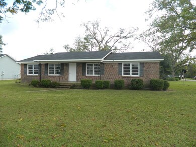 293 Williams St NE, Pelham, GA 31779 - photo 2