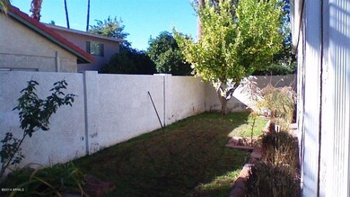 Grass backyard